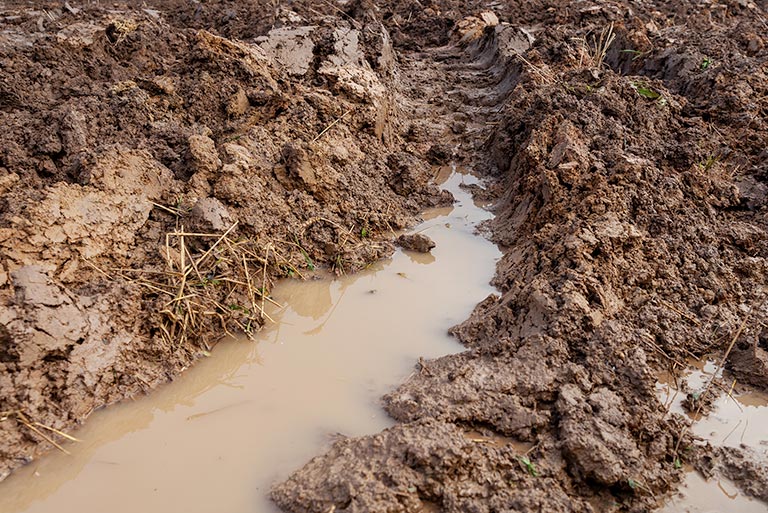 Example of clay soil