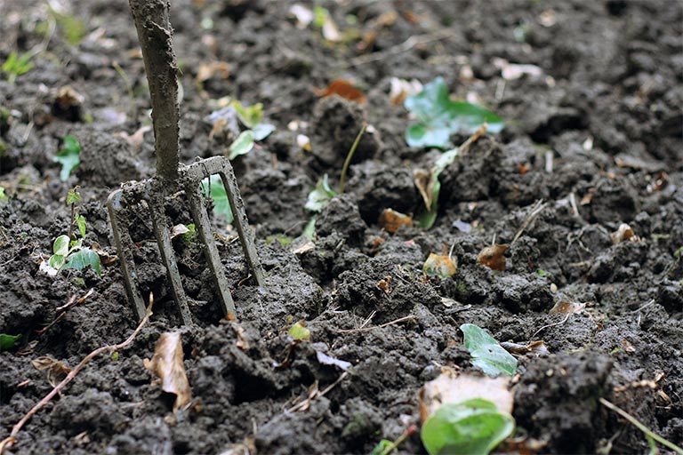 Regular soil maintenance restores air pockets